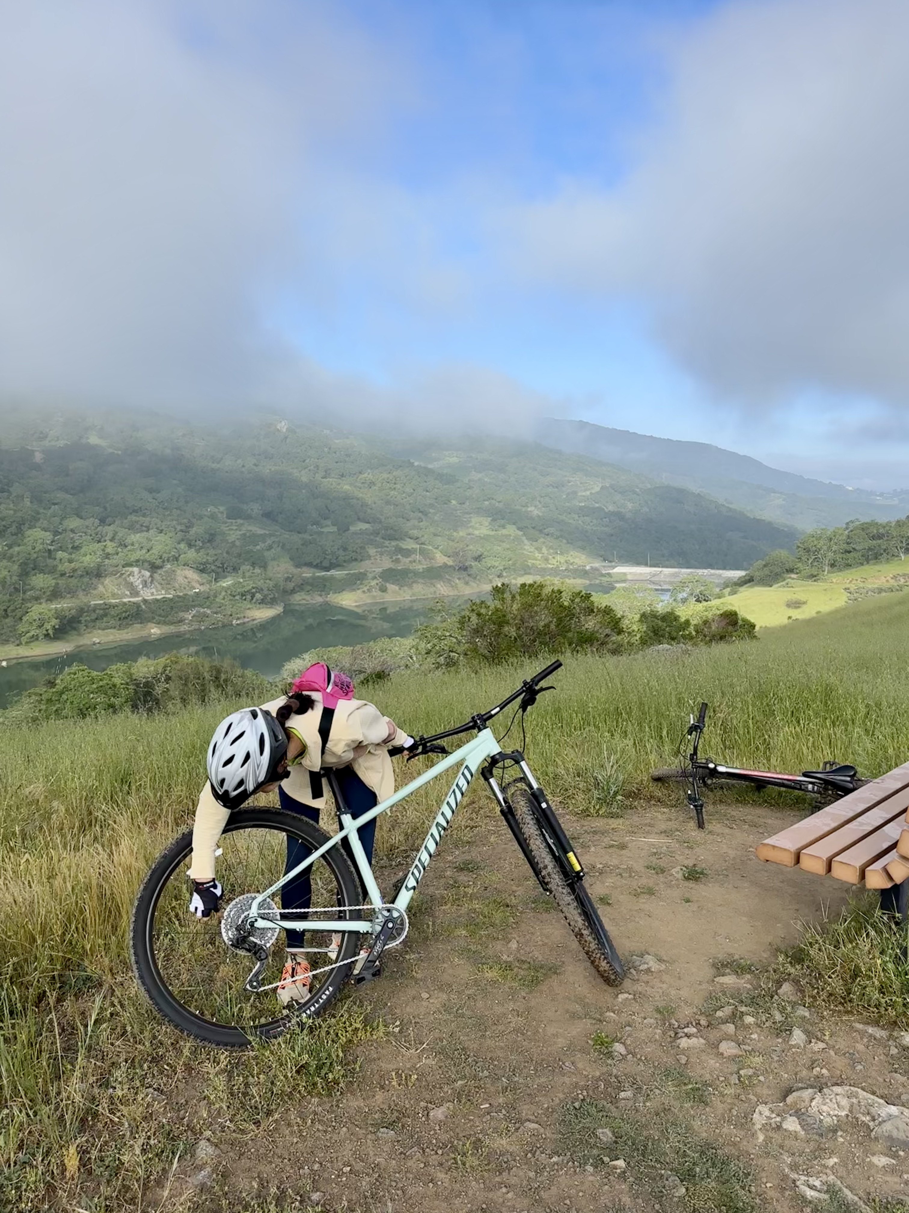 painting of girl holding branches