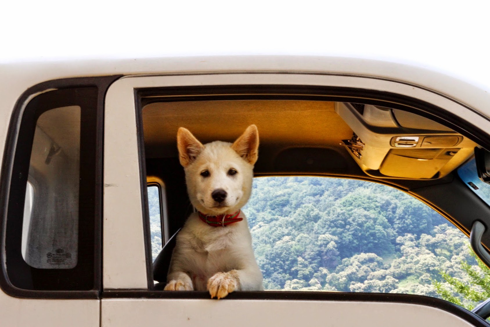 painting of man hiking in snow