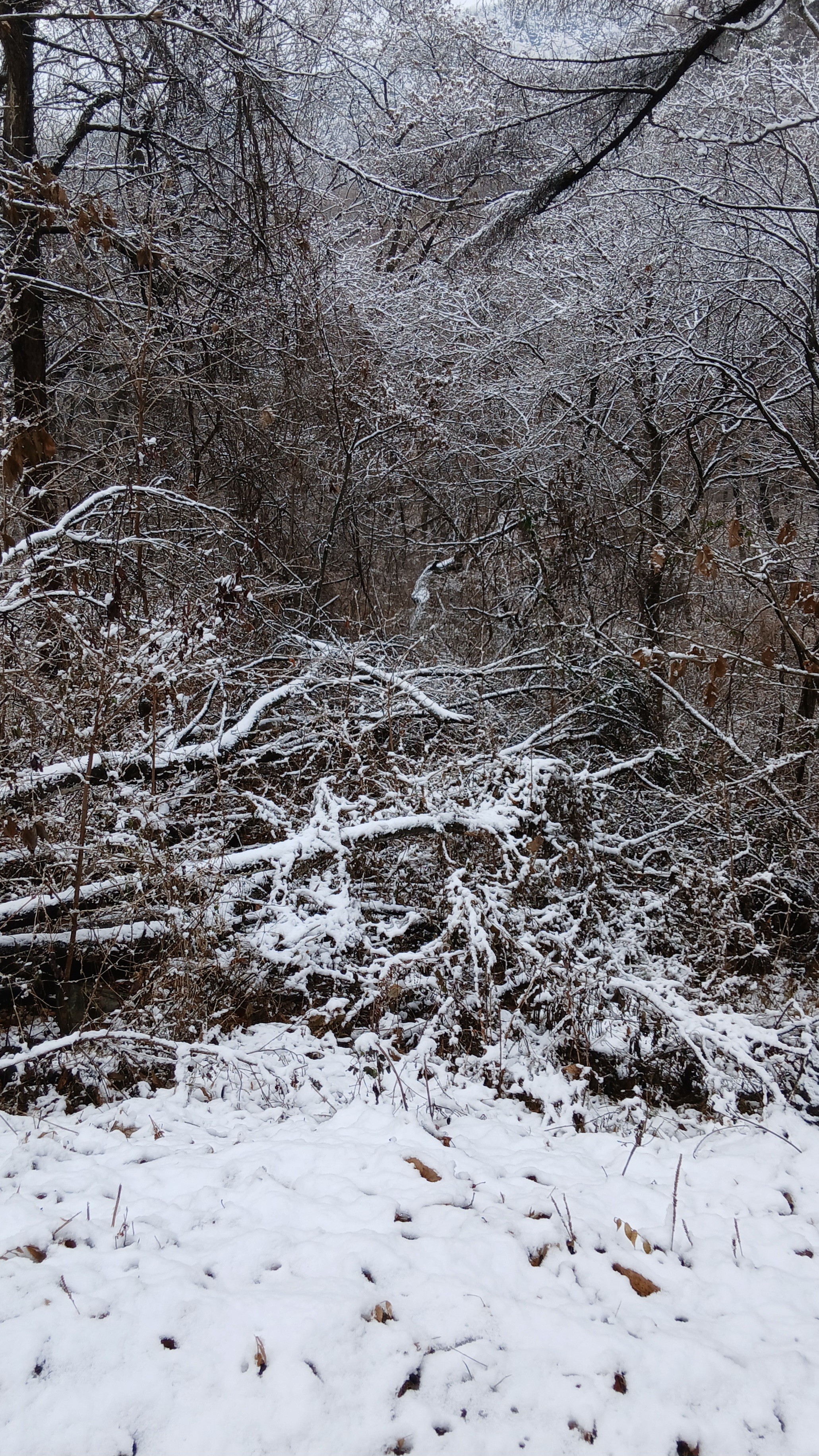 painting of man hiking in snow