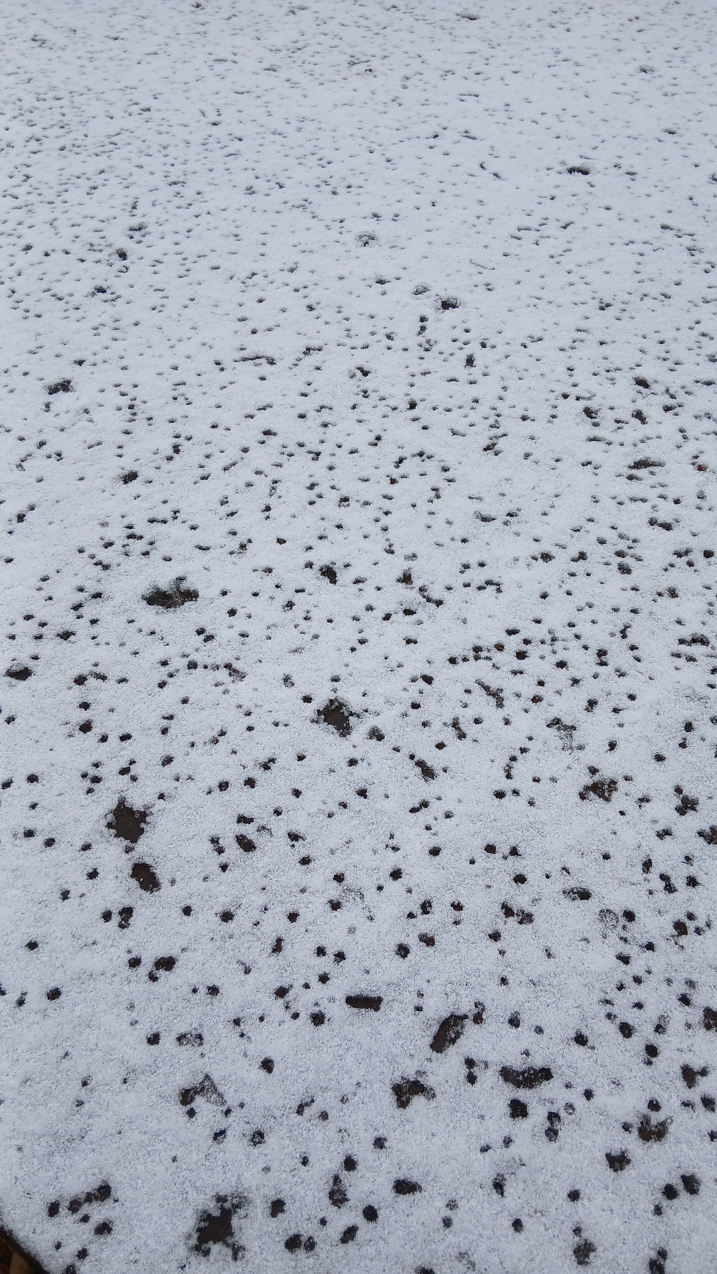 painting of the water